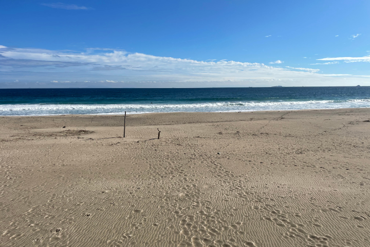 吉佐美大浜海水浴場