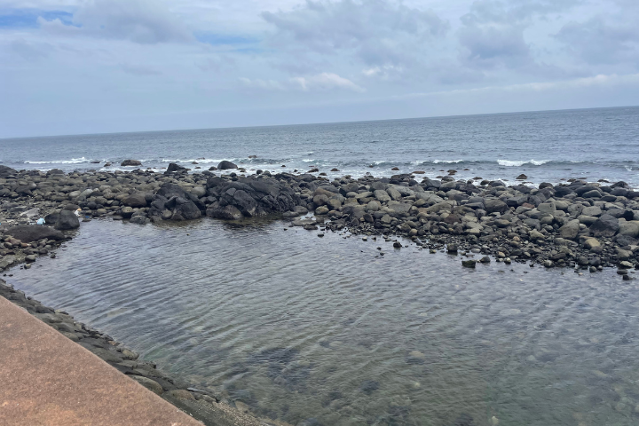 磯 Sea Garden IKEJIRI
